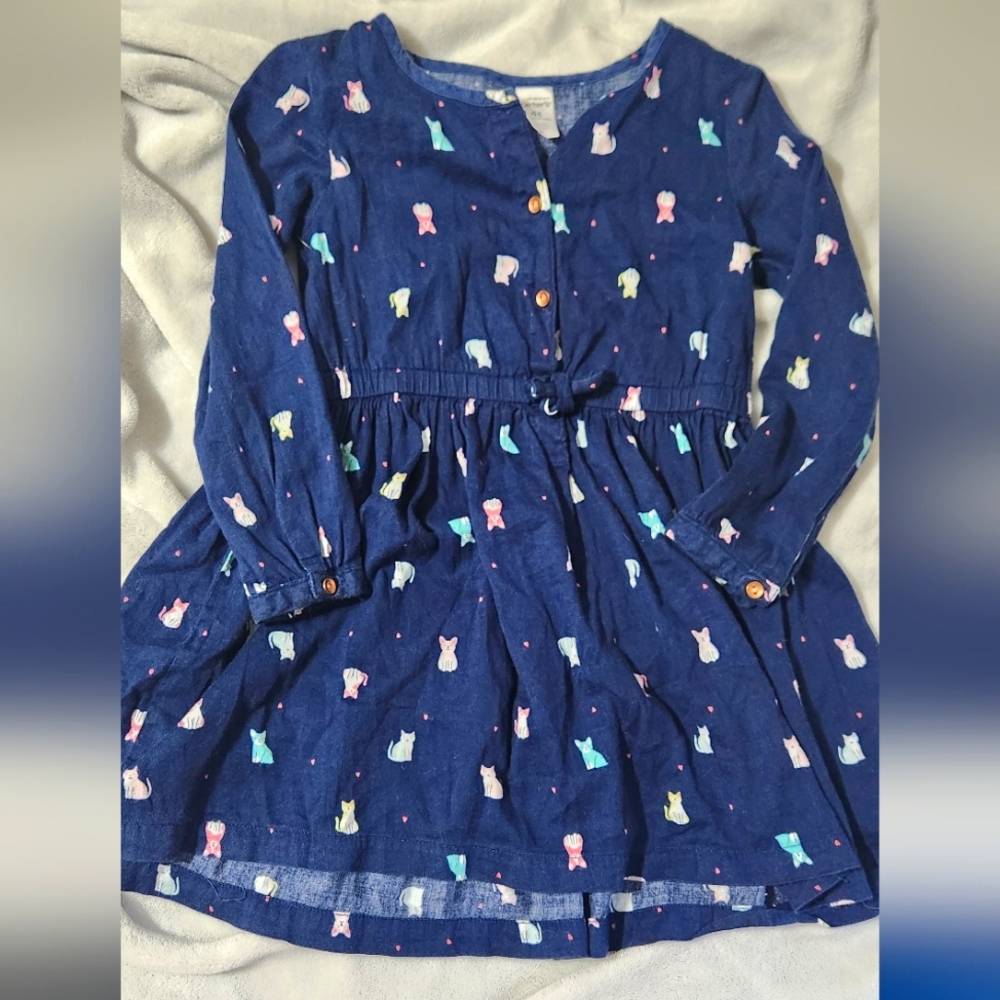 Carter's Cats and Dogs Dress - 4t